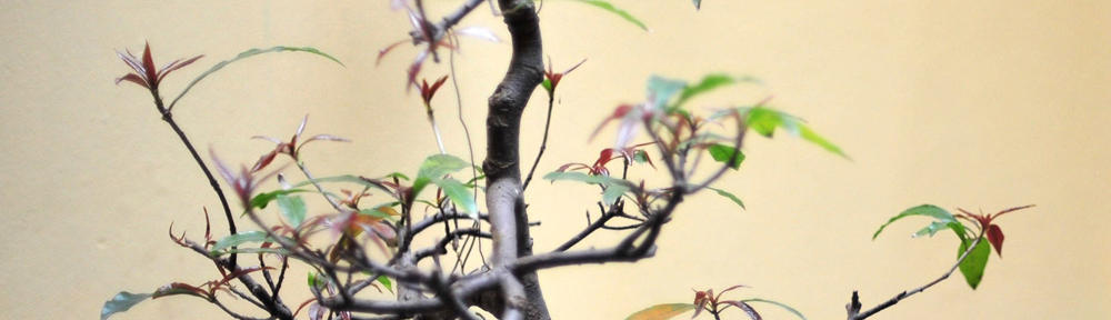 Sean Jr's life blog – by Mom and Dad